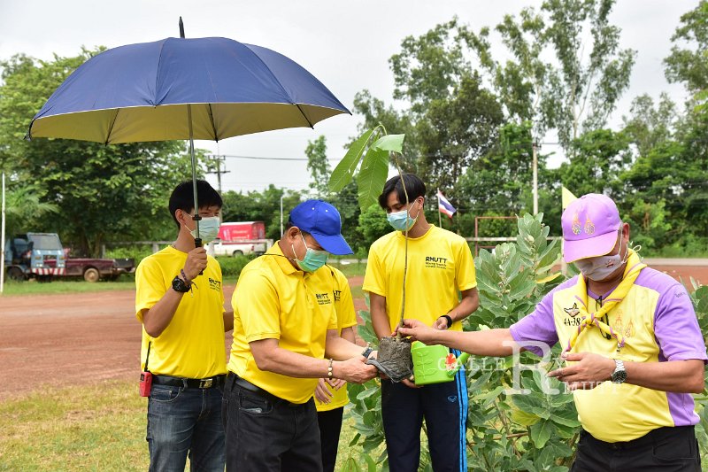 20210526-Tree planting dayt-132.JPG